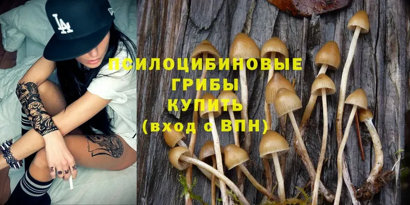 Галлюциногенные грибы MAGIC MUSHROOMS  Каменногорск 